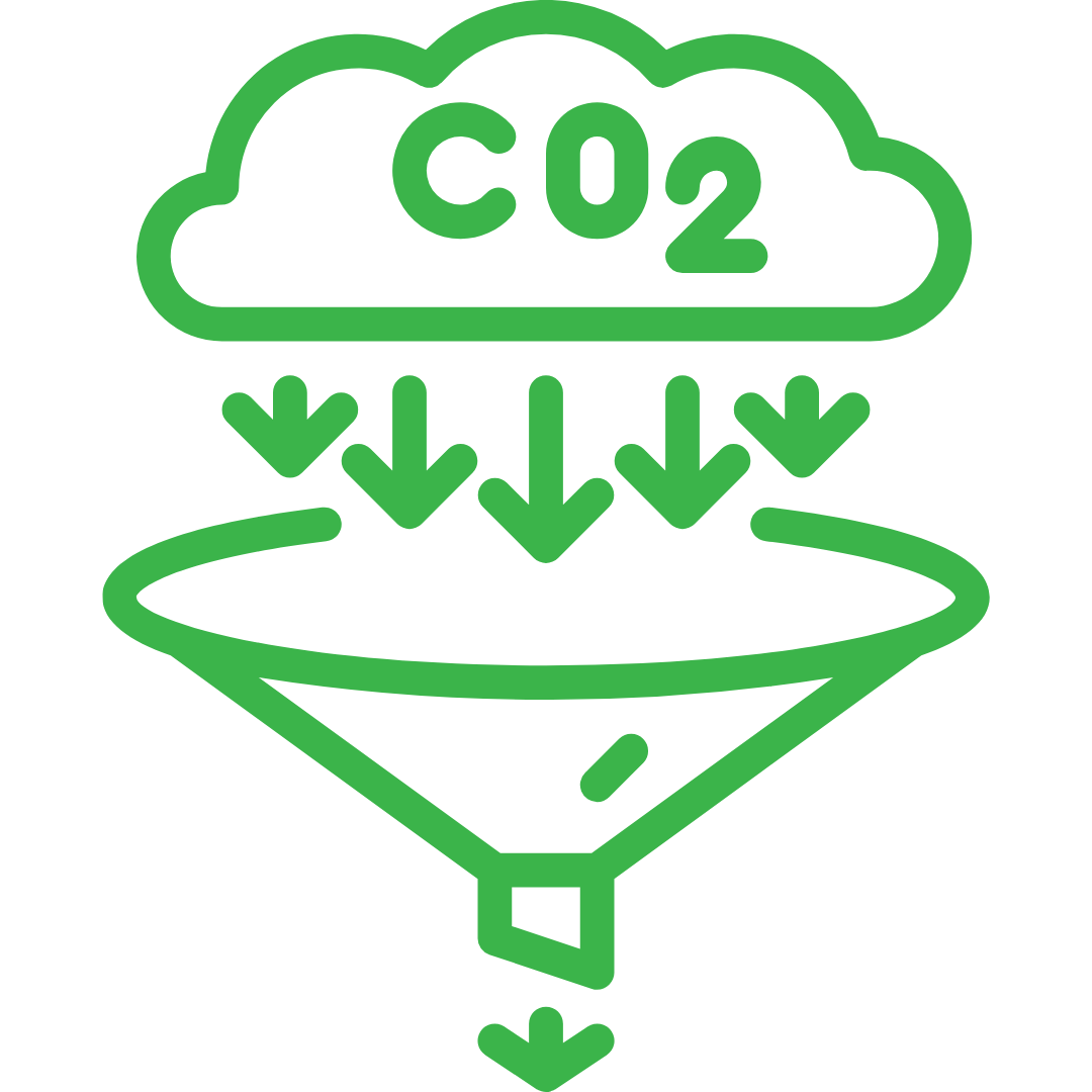 Climate Strategies and Decarbonization
