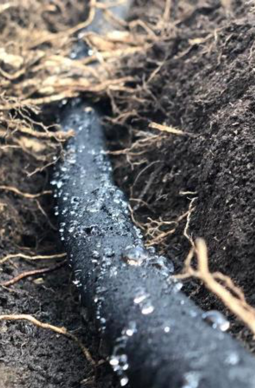 A black pipe with water droplets on it

AI-generated content may be incorrect.